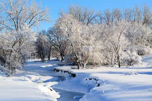 Embracing the Chill: Tips for Exercising in Cold Weather and Snow