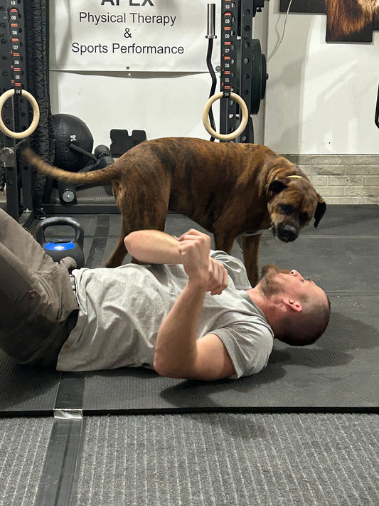 How Owning a Dog Can Improve Your Health and Fitness